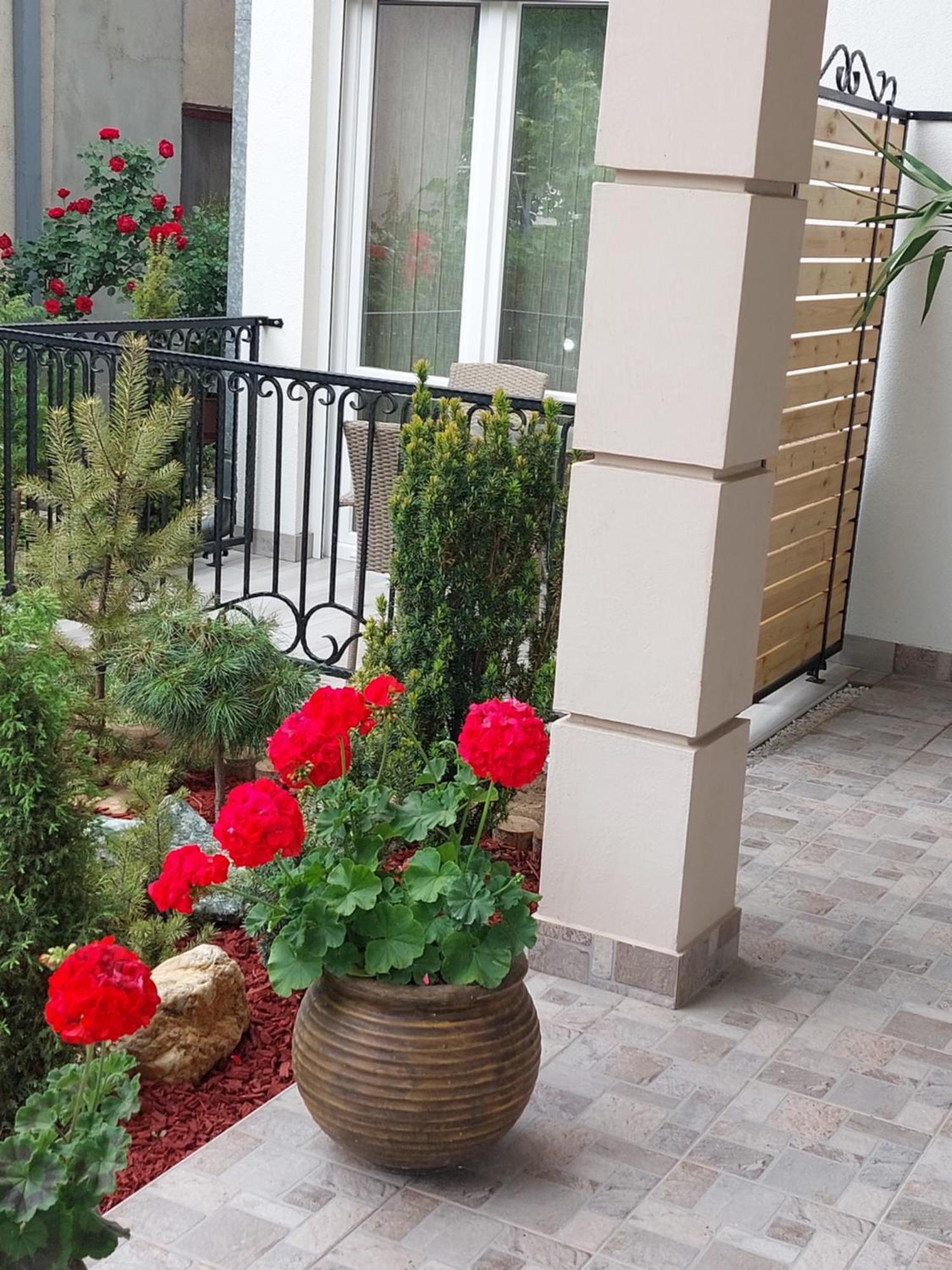 Apartmani Radulovic Vrnjacka Banja Room photo
