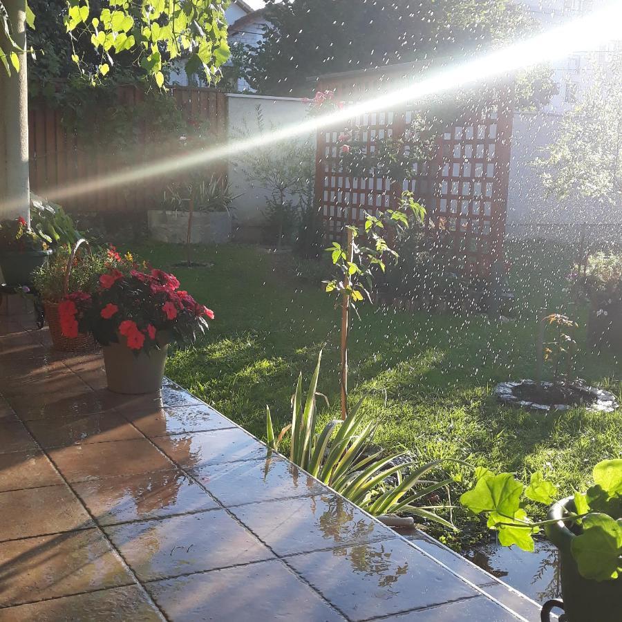Apartmani Radulovic Vrnjacka Banja Exterior photo